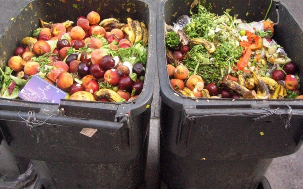 Transferência de tecnologia e formação profissional combatem o desperdício de alimentos   