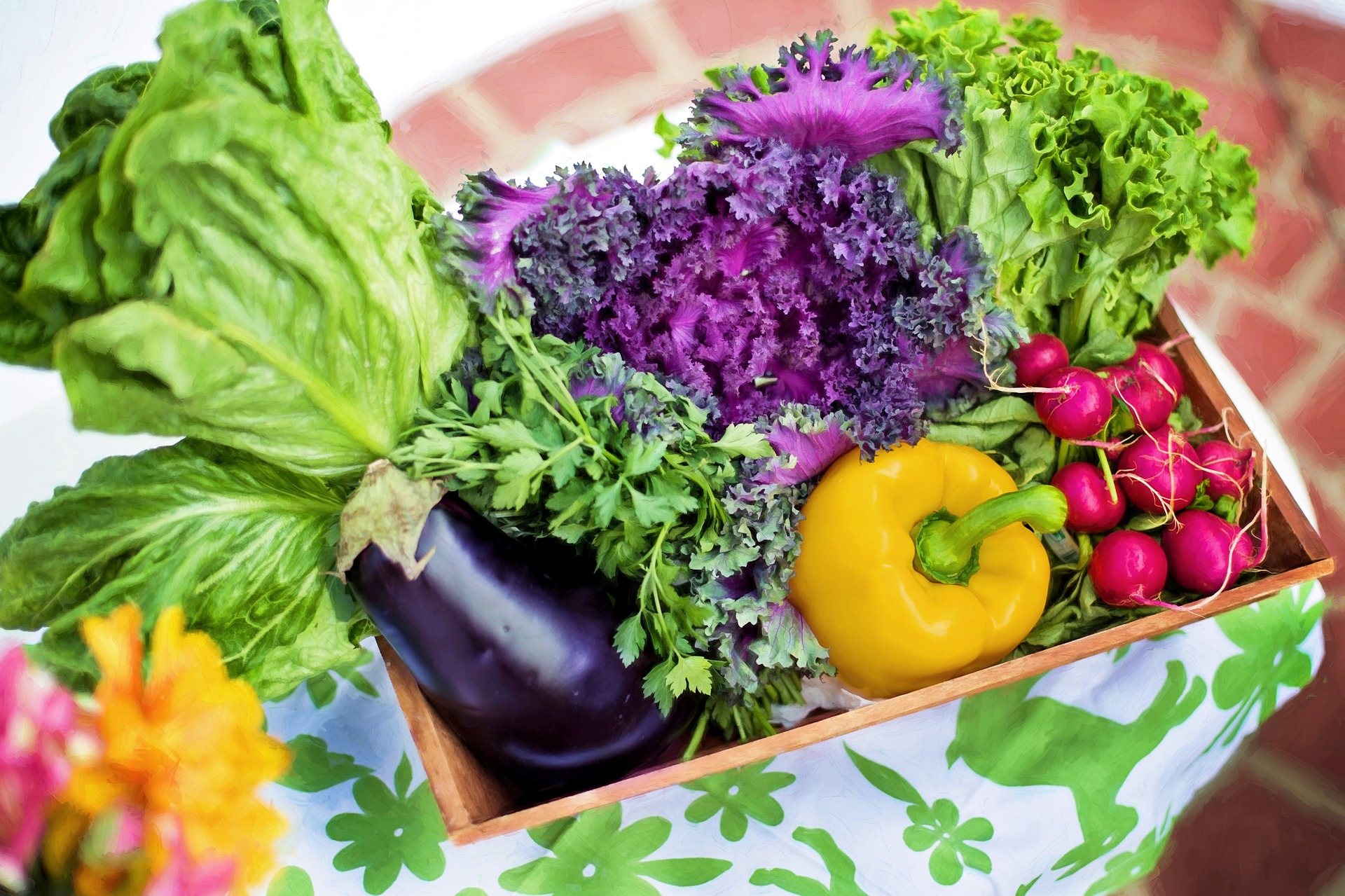 Alimentação saudável impulsiona investimento de grandes marcas no setor de orgânicos