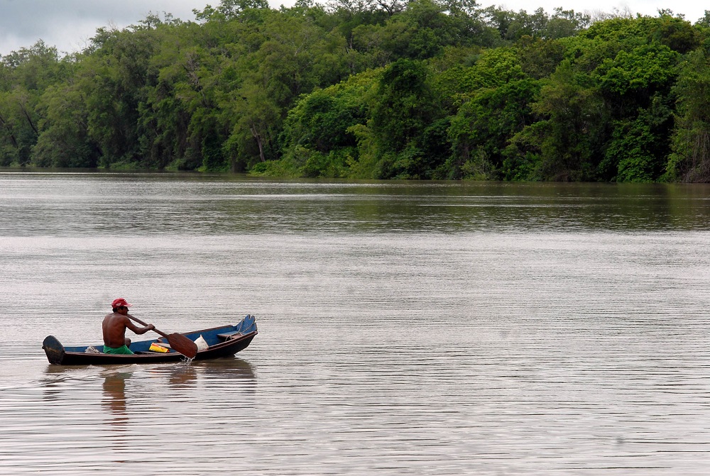 Ministra da Agricultura defende projetos de bioeconomia para preservar a Amazônia