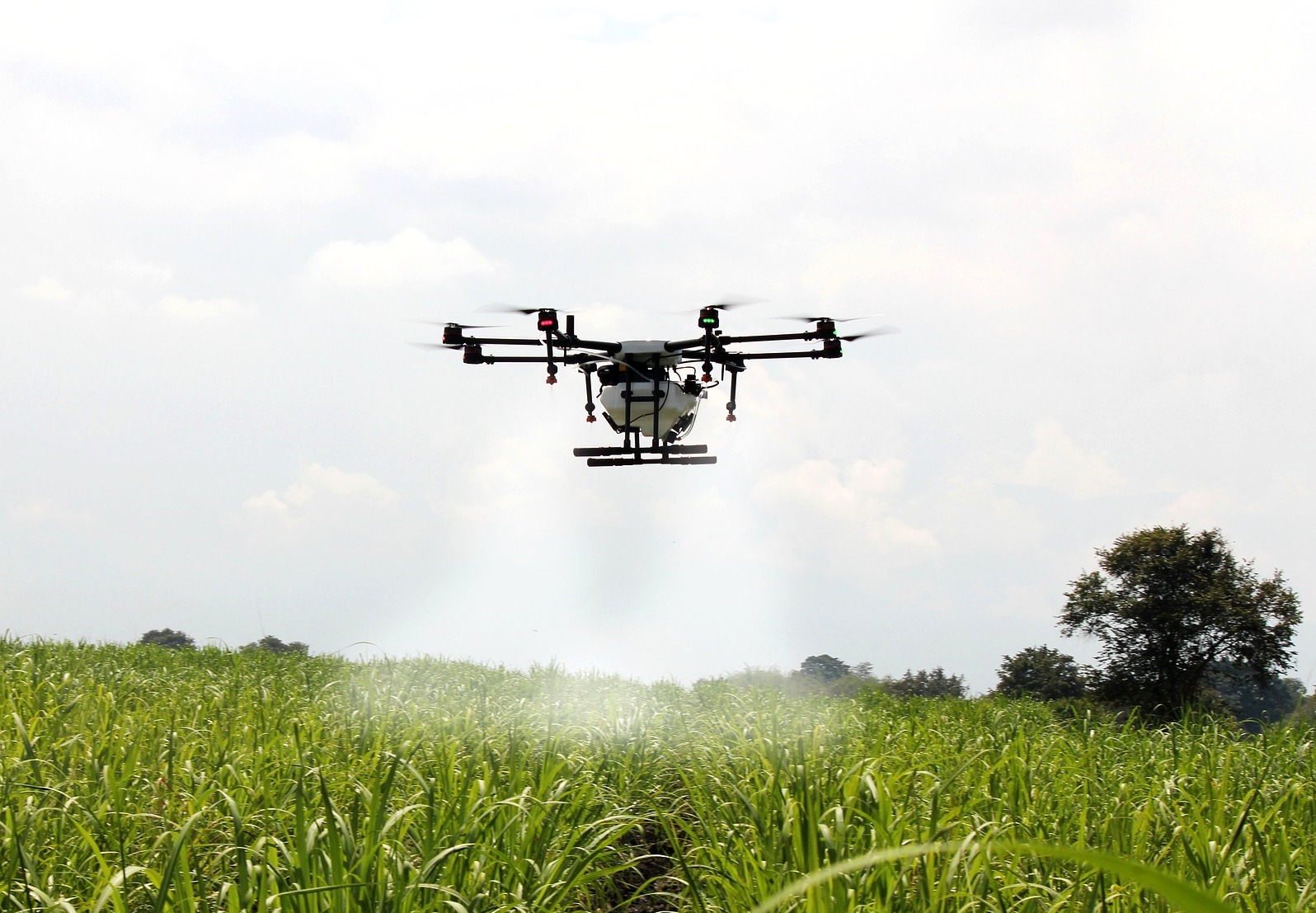 Uso de drones nas lavouras será regulamentado pelo Mapa