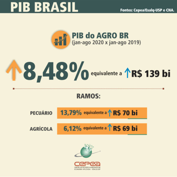 Image: https://www.sna.agr.br/wp-content/uploads/2020/12/PIBnov20-600x599.jpg