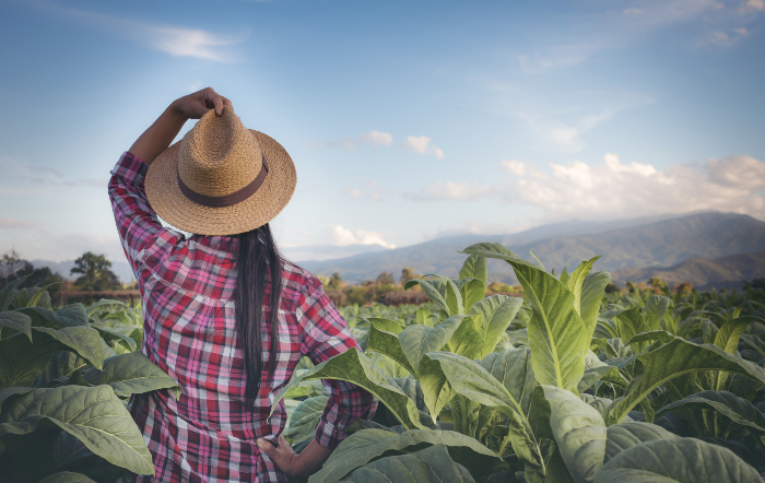 Sustentabilidade e Direito Agrário são destaques no Encontro de Mulheres Agraristas