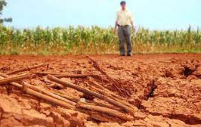 CNA pede ao governo apoio a produtores afetados pelo clima