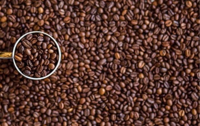 Contratação de seguro pela cafeicultura aumentou 45% em 2021