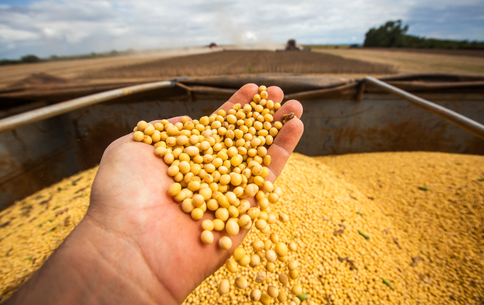 CNA discute comparativo internacional de custos de produção de grãos
