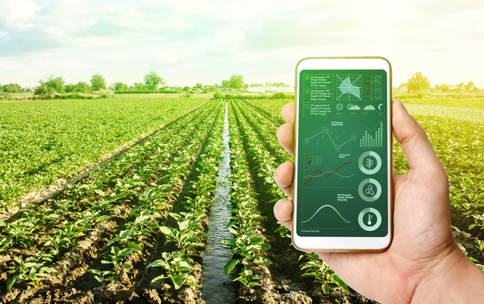 Inovação tecnológica: um nicho estratégico da agroeconomia