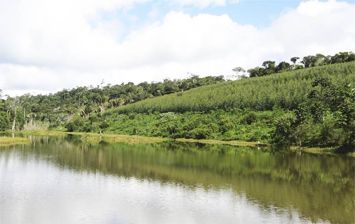 Produção agrícola de baixo impacto e recuperação de nascentes no sul da Bahia