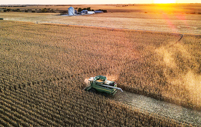 USDA deve reduzir estimativas de produtividade para a soja e o milho