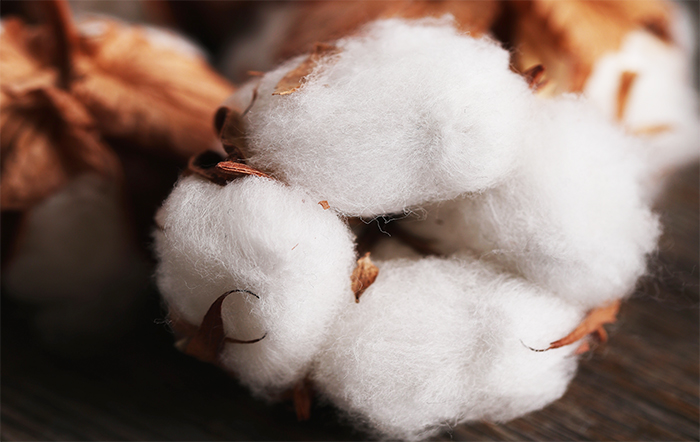 Produção global de algodão deve totalizar 25.07 milhões de toneladas em 2023/2