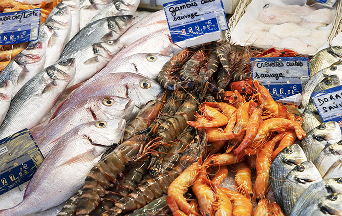 Evento do setor pesqueiro movimenta mais de R$ 80 milhões em negócios