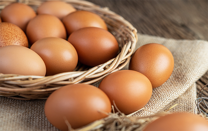 Exportação de ovos e ovoprodutos apresentou expressivo incremento anual no mês de agosto