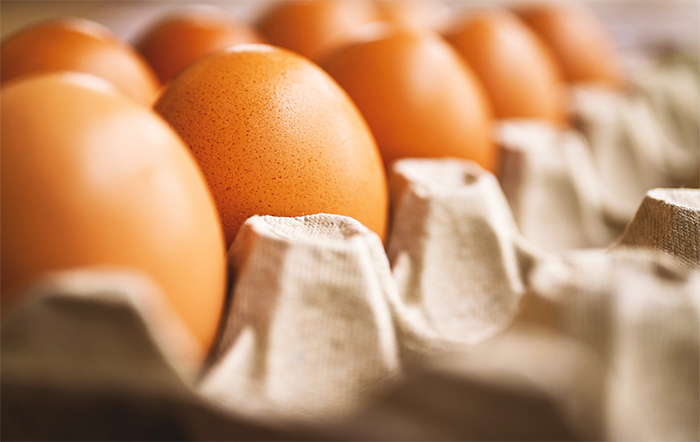 Ovos: Em agosto o preço ao produtor atingiu a pior relação do ano em comparação ao varejo