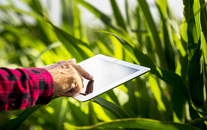Agricultura digital: Ministério lança “Rural + Conectado” com R$ 1.2 bilhão para telecomunicações