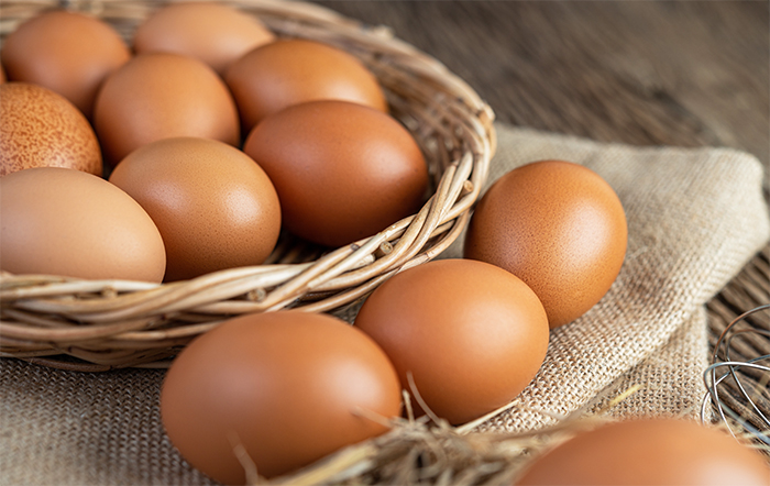 Ovos: plantel produtivo deve atingir novo recorde em março de 2024