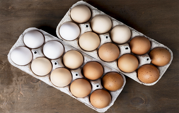 Exportação parcial de ovos e ovoprodutos já supera em 3.3%