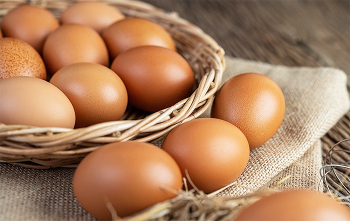 Chile autoriza Ministério brasileiro a habilitar unidades produtoras de ovos para exportação