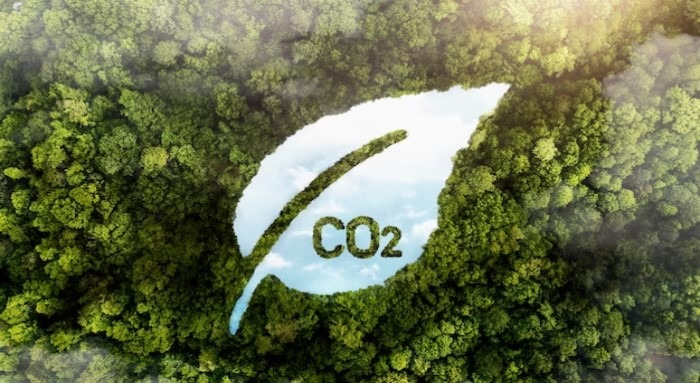 Mercado de carbono: agro e meio ambiente podem dar as mãos
