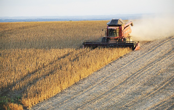 CNA define propostas emergenciais de apoio ao produtor de grãos